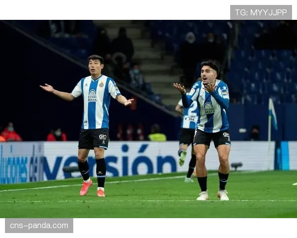 西班牙警方逮捕涉嫌操纵西甲保级队比赛结果的犯罪团伙成员 西班牙警方逮捕涉嫌操纵西甲保级队比赛结果的犯罪团伙成员